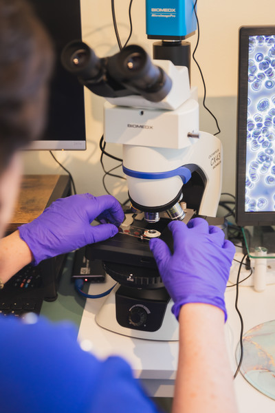 Link to: /programs/live-blood-analysis