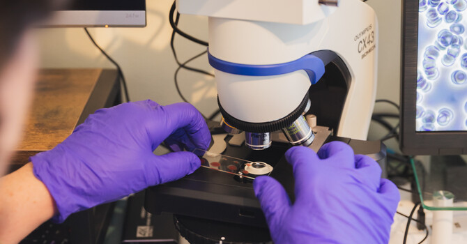 See the Story Your Blood May Be Telling You