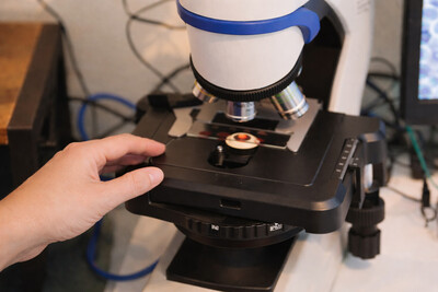 Link to: /programs/live-blood-analysis